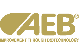 AEB Group logo
